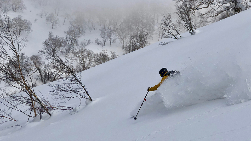 BC Skiing Hokkaido